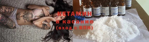 молекула духа Ельня