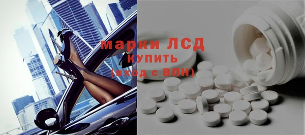 молекула духа Ельня