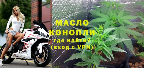 молекула духа Ельня