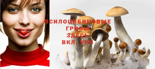 молекула духа Ельня
