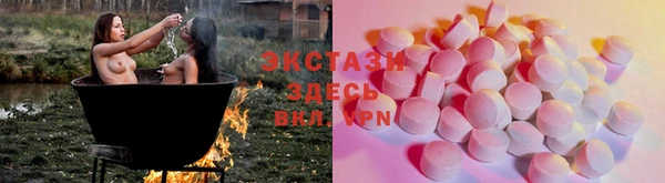 молекула духа Ельня