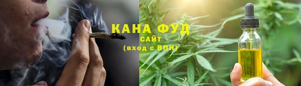 молекула духа Ельня