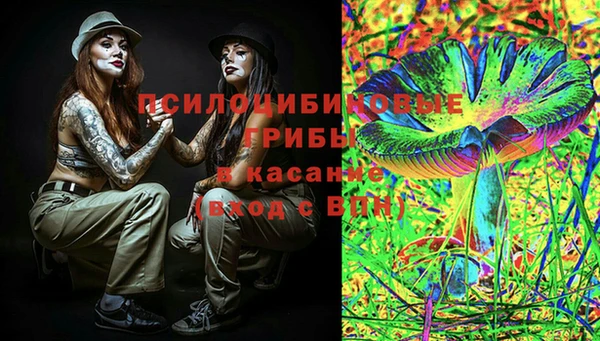 стаф Заволжск