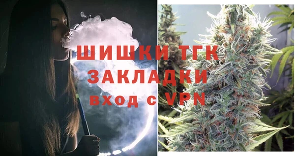 молекула духа Ельня