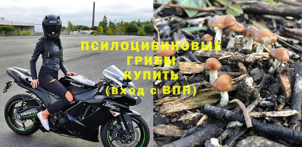 стаф Заволжск