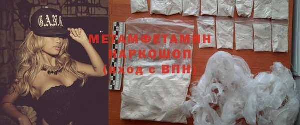 молекула духа Ельня