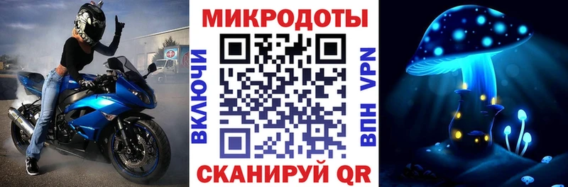 Псилоцибиновые грибы Psilocybe Тихорецк